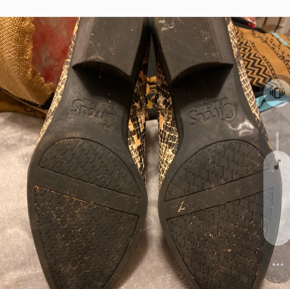 Sam Edelman snakeskin bootie - Picture 3 of 3